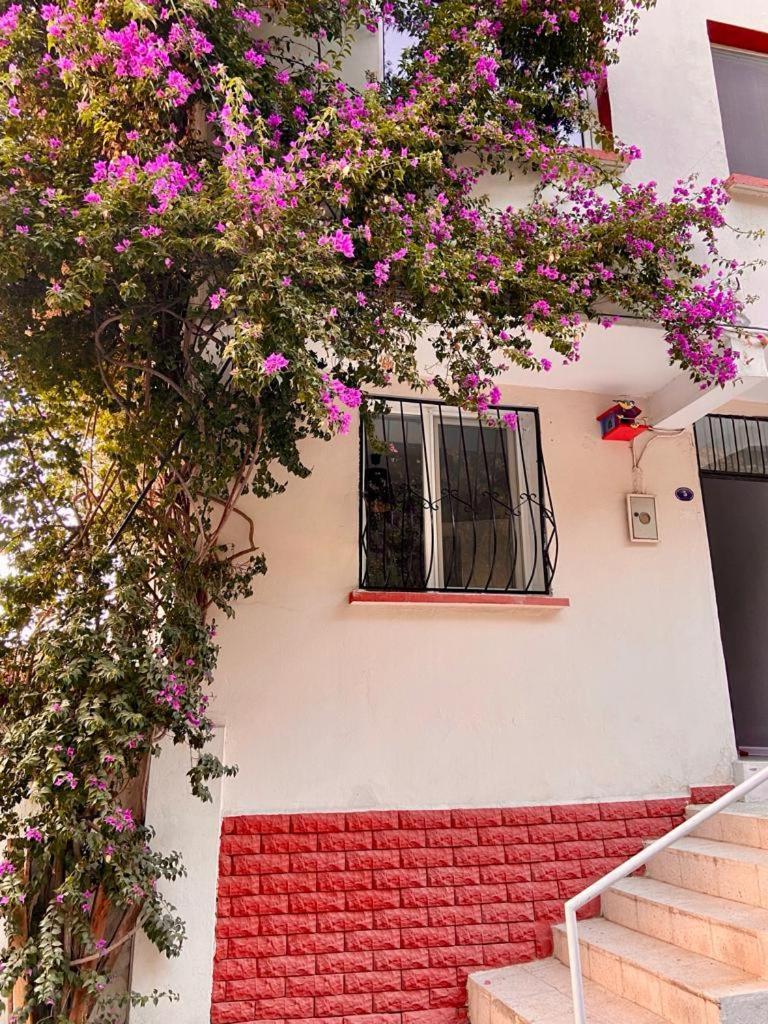 Small House Izmir
